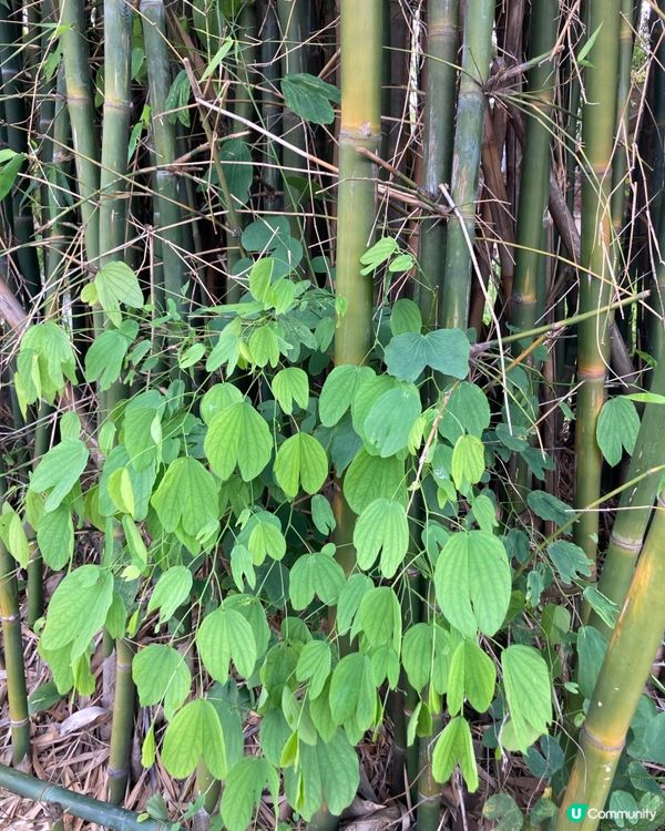 錦上路寫意的日子