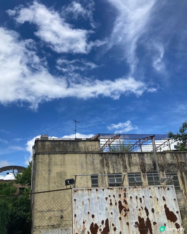 錦上路寫意的日子