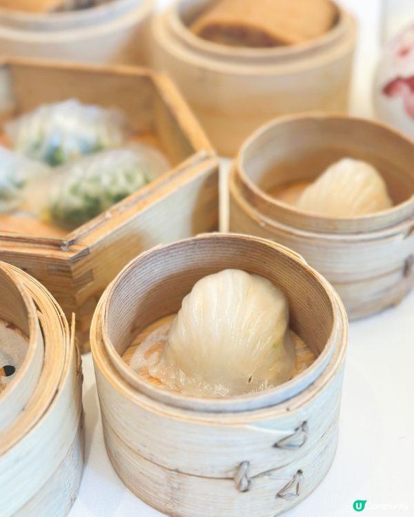 尖沙咀點心😍！$7、$8、$9任點！🤤 望住靚景嘆