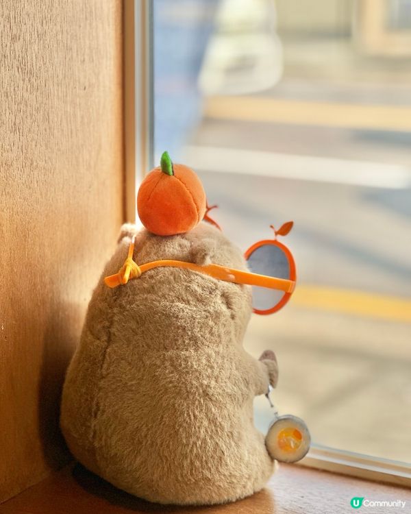 🇰🇷濟州島推薦紫菜包飯店｜濟州機場附近高質平價選擇！