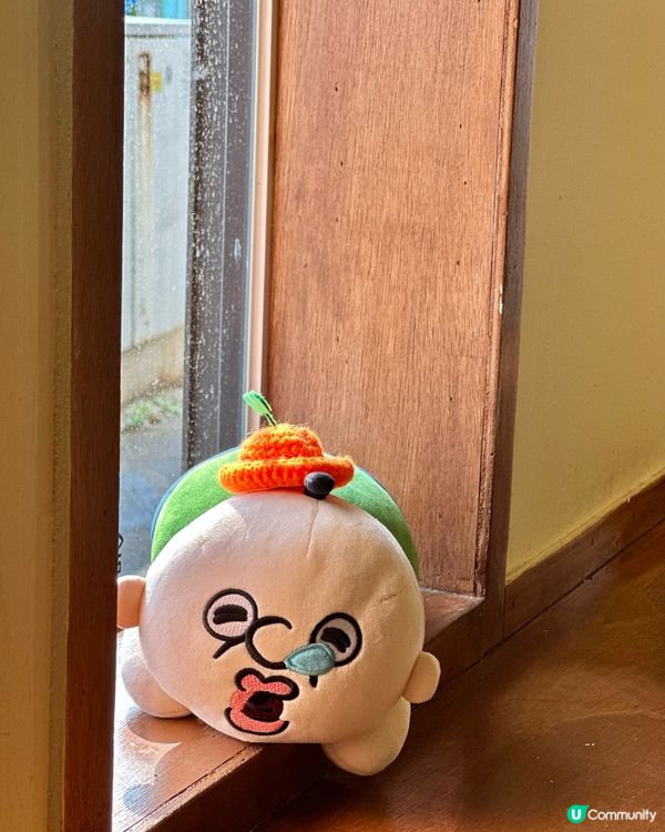 🇰🇷濟州島推薦紫菜包飯店｜濟州機場附近高質平價選擇！