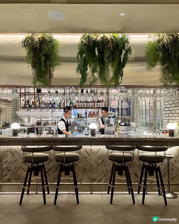 ɞ♡ 不可錯過的泰式椰子鮮雞湯 & 泰胡椒和牛糯米河 ♡ɞ