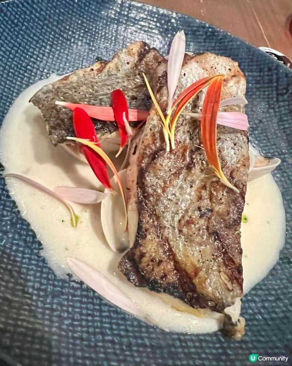 Hot Charcoal柴可炭火料理🔥實測三道式海陸盛宴 