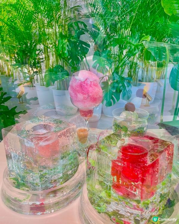 大阪森林系咖啡店🌿！☕️+🍪！打卡必去