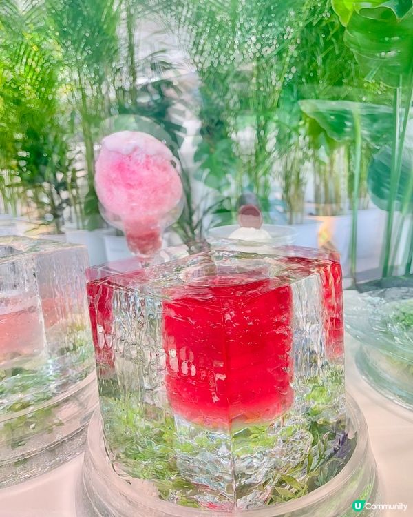 大阪森林系咖啡店🌿！☕️+🍪！打卡必去