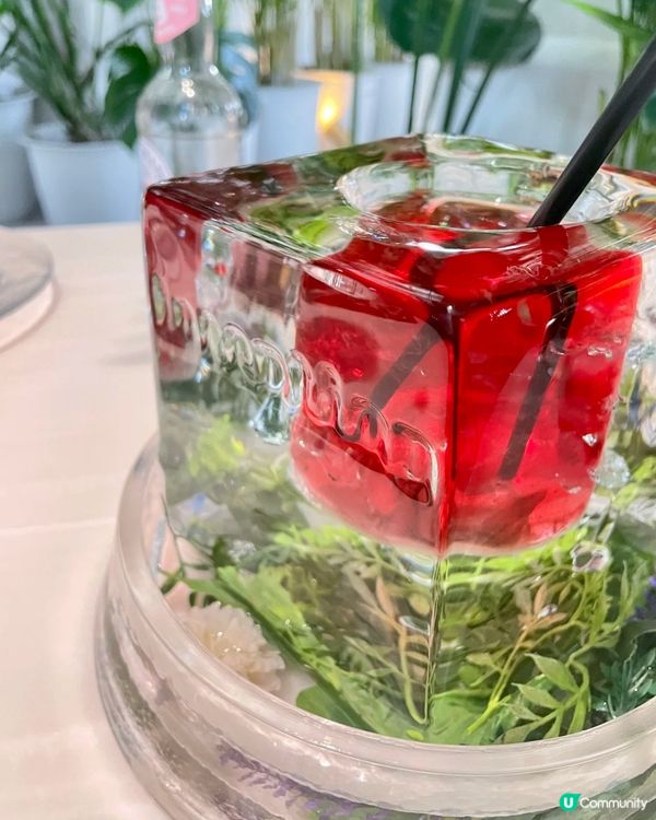 大阪森林系咖啡店🌿！☕️+🍪！打卡必去