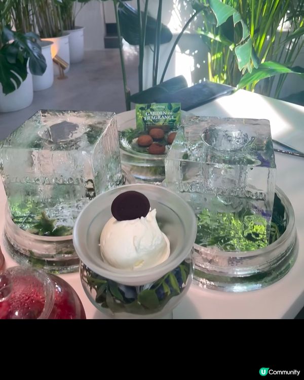 大阪森林系咖啡店🌿！☕️+🍪！打卡必去