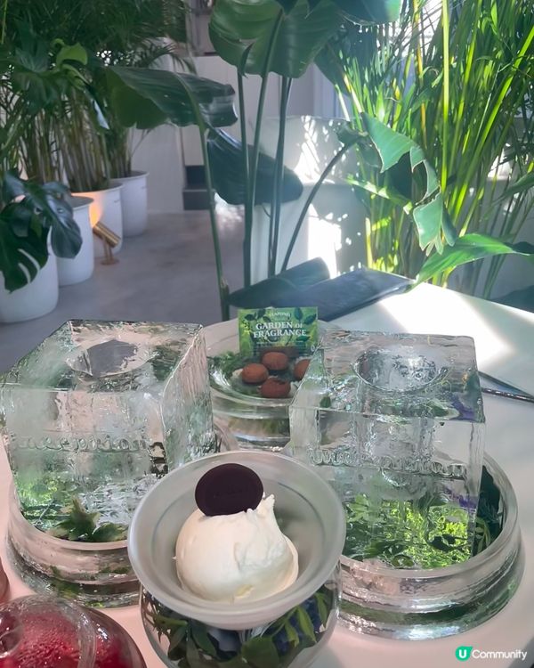 大阪森林系咖啡店🌿！☕️+🍪！打卡必去