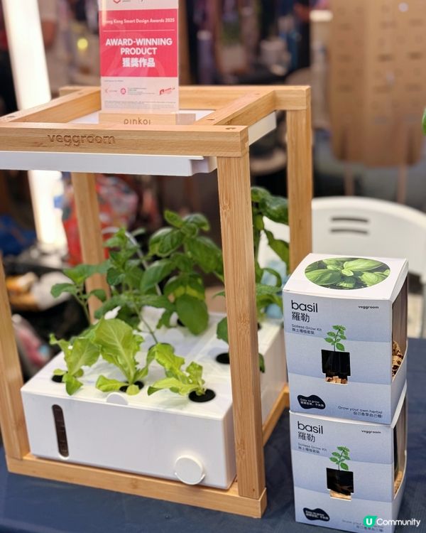 本土設計市集尋寶記！🤩 週末限定！