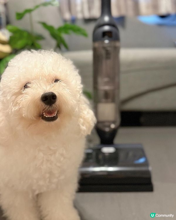 蝸居救星！HIZERO 輕量級潔地機幫到手🧹✨ 