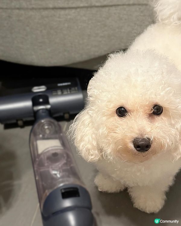 蝸居救星！HIZERO 輕量級潔地機幫到手🧹✨ 