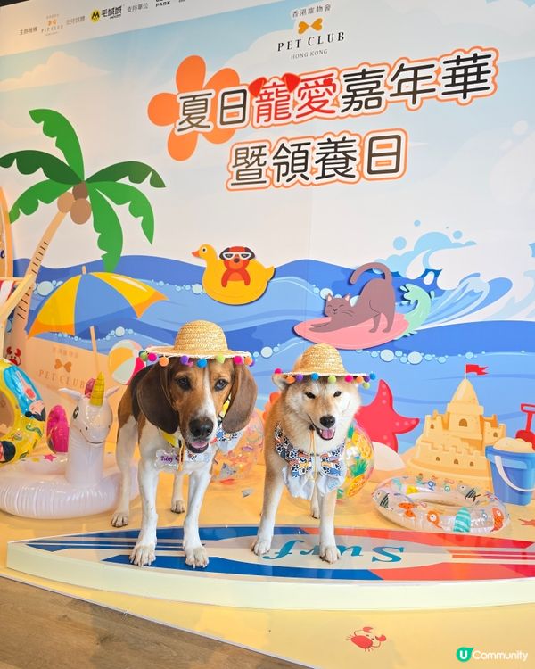 Go Park 有活動呀
【PET CLUB 夏日寵愛嘉年華