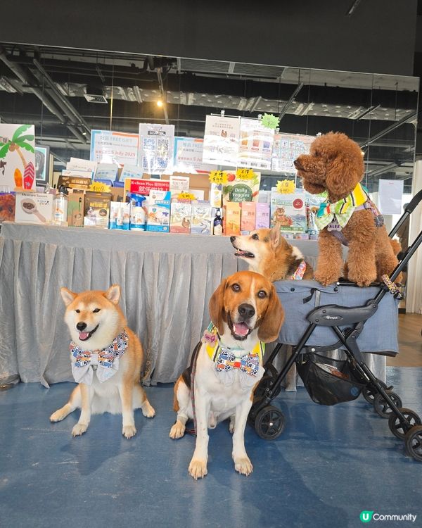 Go Park 有活動呀
【PET CLUB 夏日寵愛嘉年華