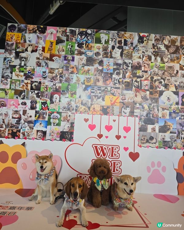 Go Park 有活動呀
【PET CLUB 夏日寵愛嘉年華