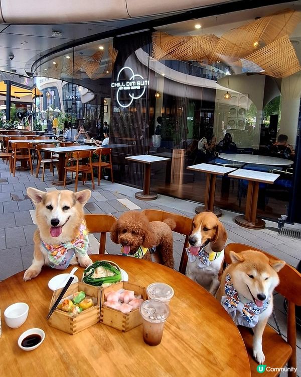 飲茶Chill Dim Sum By Kahu