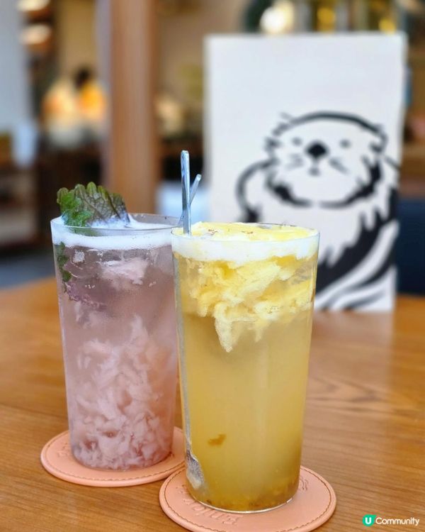 📍深圳必吃!黃宗澤同款PetitOyster叫嚎🦪✨