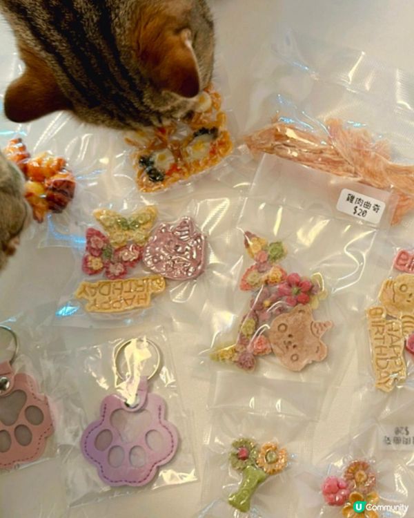 D2寵物市集開鑼！毛孩零食 🐶🍖😋