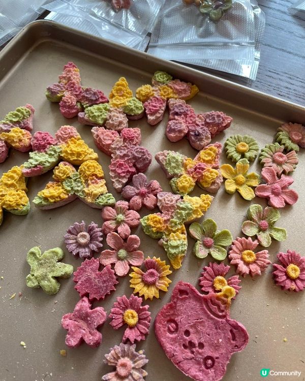 D2寵物市集開鑼！毛孩零食 🐶🍖😋