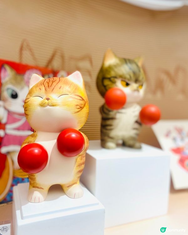 貓貓店打卡📸！🖼️精品家品都有