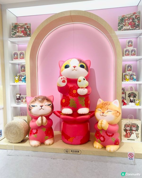 貓貓店打卡📸！🖼️精品家品都有