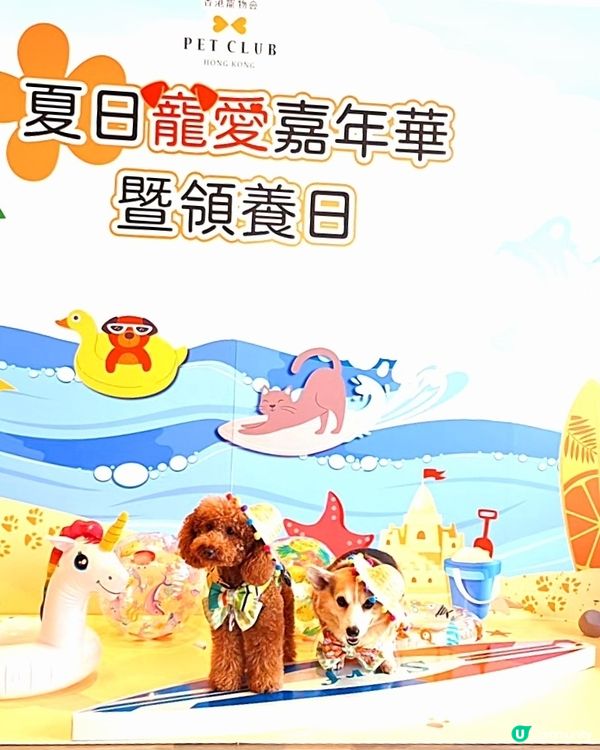 【夏日寵愛嘉年華】毛孩打卡影相📸！領養日🐾！