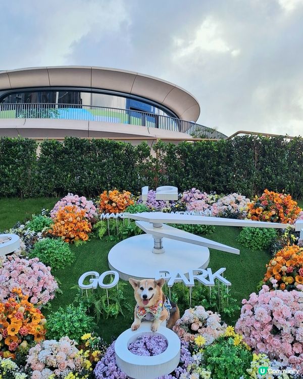 【夏日寵愛嘉年華】毛孩打卡影相📸！領養日🐾！