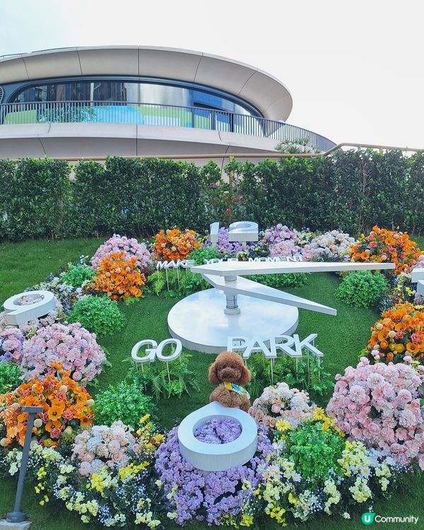 【夏日寵愛嘉年華】毛孩打卡影相📸！領養日🐾！