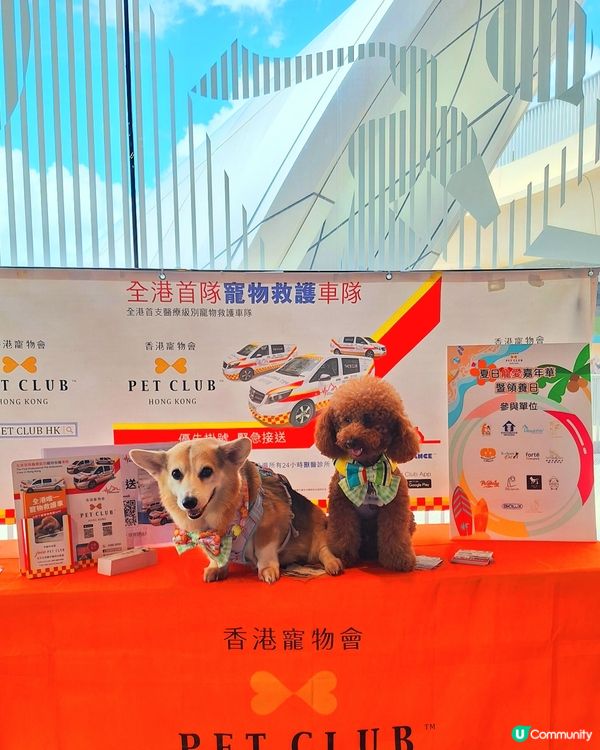 【夏日寵愛嘉年華】毛孩打卡影相📸！領養日🐾！