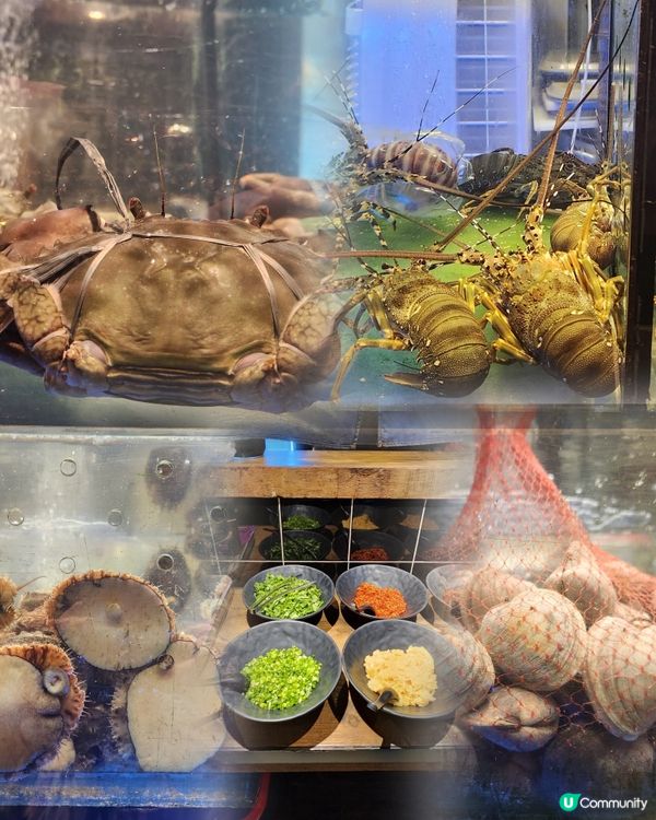 原汁原味海鮮火鍋🫕