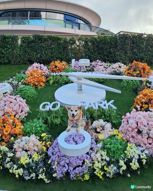 1.  點心控集合！😋 歎住點心吹吓水☕️，正！