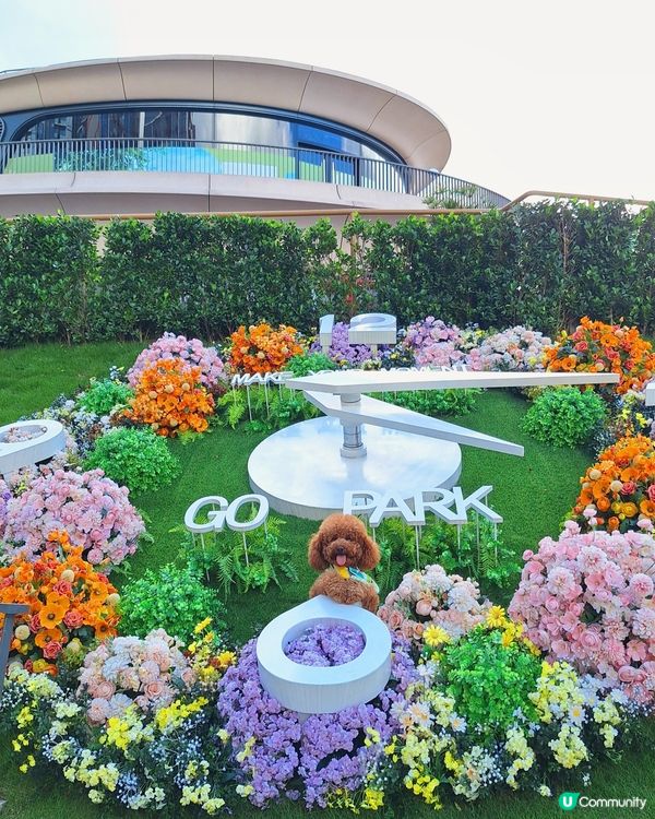 1.  點心控集合！😋 歎住點心吹吓水☕️，正！