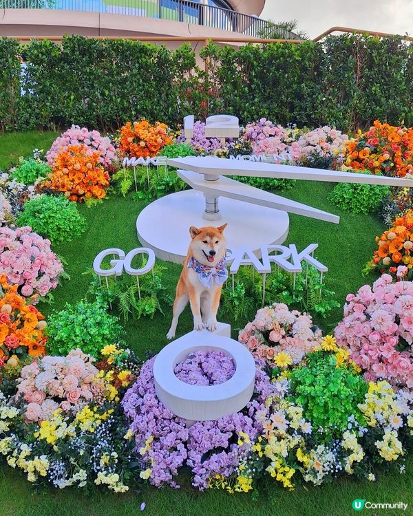 1.  點心控集合！😋 歎住點心吹吓水☕️，正！