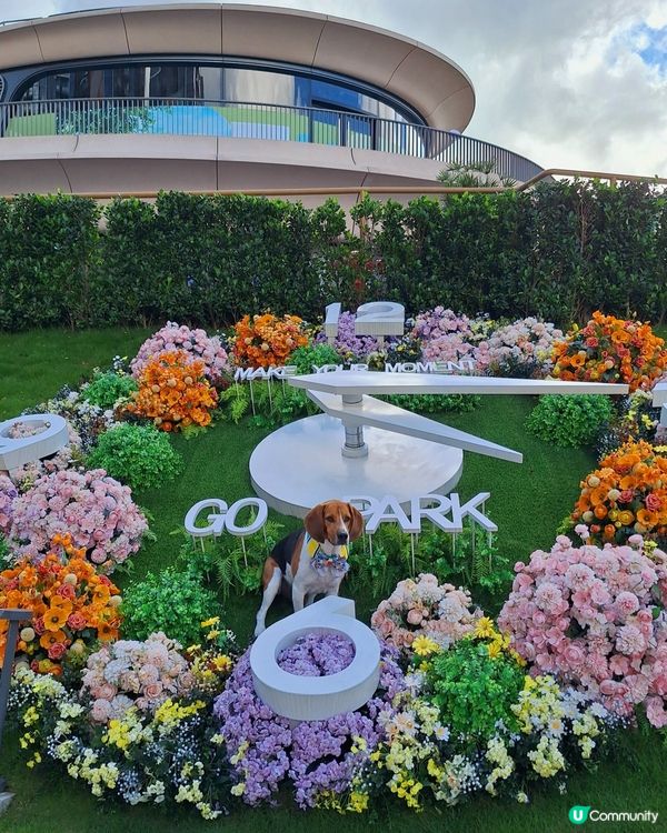 1.  點心控集合！😋 歎住點心吹吓水☕️，正！