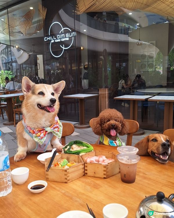 1.  點心控集合！😋 歎住點心吹吓水☕️，正！
