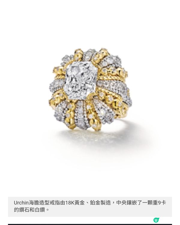 Tiffany & Co. 海洋無價寶