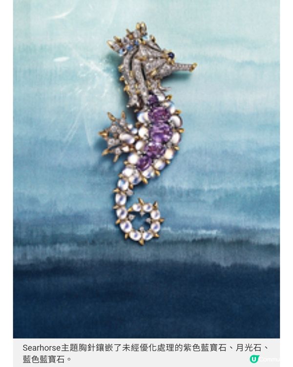 Tiffany & Co. 海洋無價寶