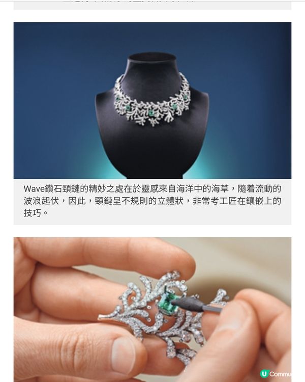 Tiffany & Co. 海洋無價寶