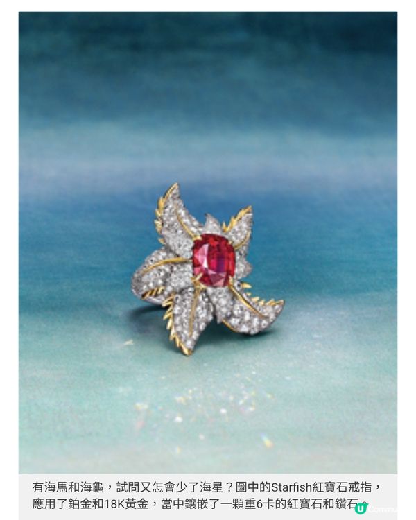 Tiffany & Co. 海洋無價寶