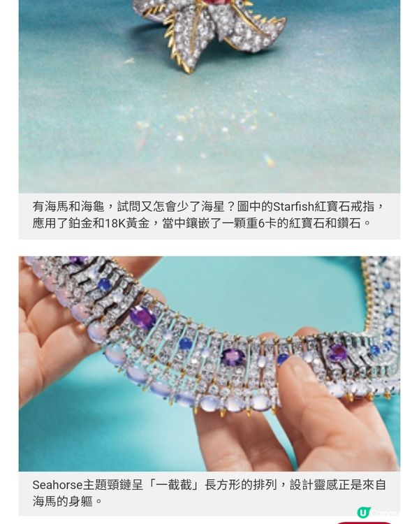 Tiffany & Co. 海洋無價寶