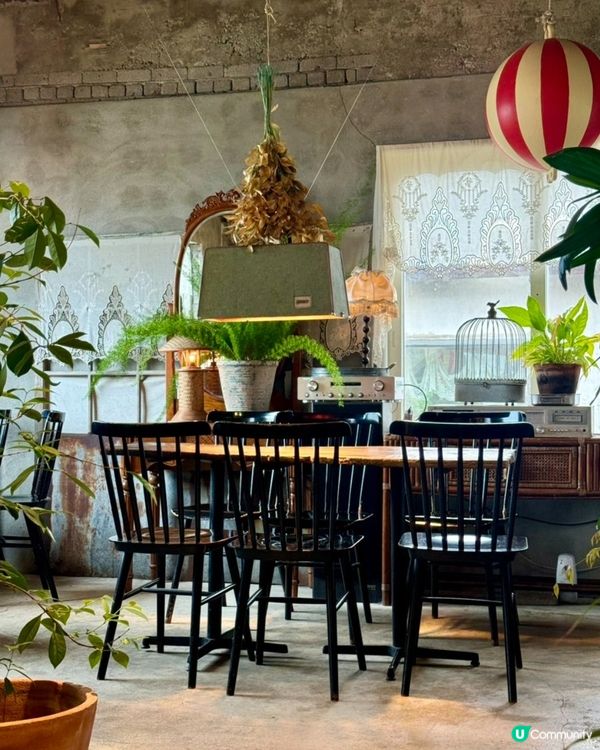 🇰🇷韓國濟州島海邊隱世Café推薦💯必食紅蘿蔔蛋糕‼️