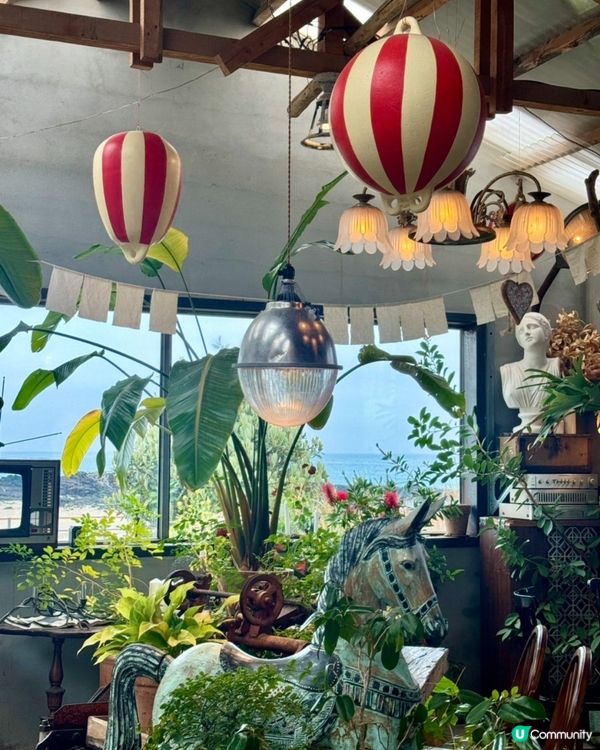 🇰🇷韓國濟州島海邊隱世Café推薦💯必食紅蘿蔔蛋糕‼️