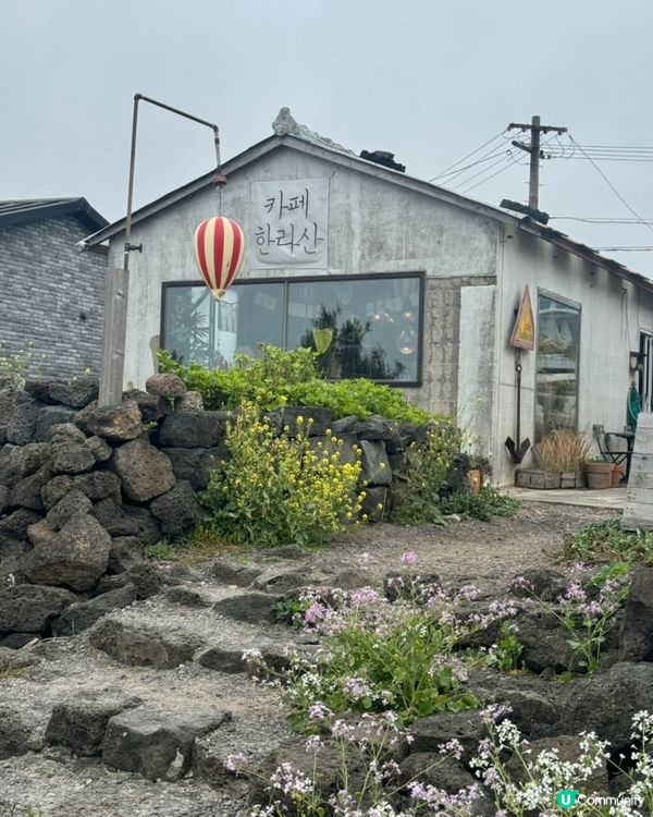 🇰🇷韓國濟州島海邊隱世Café推薦💯必食紅蘿蔔蛋糕‼️
