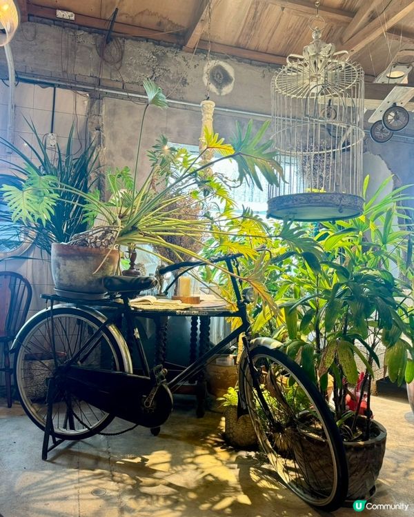 🇰🇷韓國濟州島海邊隱世Café推薦💯必食紅蘿蔔蛋糕‼️