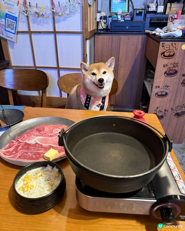 帶毛孩吃壽喜燒