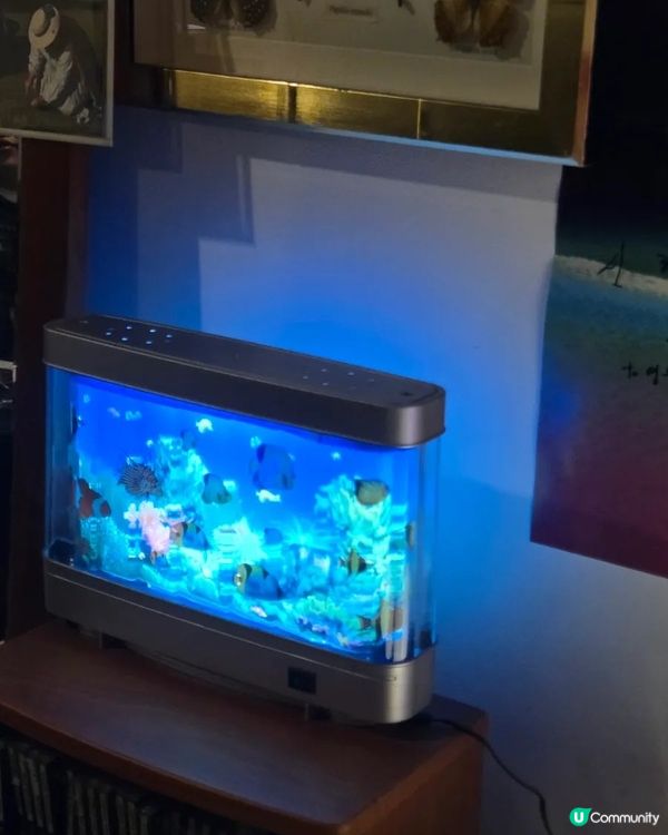 🇰🇷大邱必打卡！超卡哇伊Hello Kitty甜點咖啡廳🍮