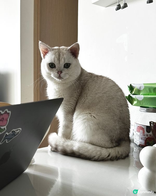 睇吓我今日幾靚仔🥰