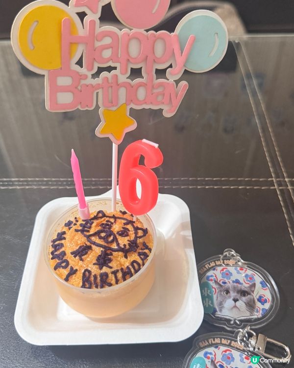 ❤️寵物布丁燒❤️