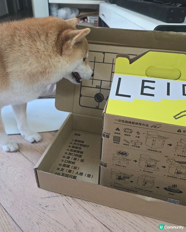 leidohk 活動