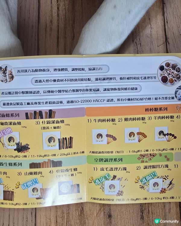 leidohk 活動