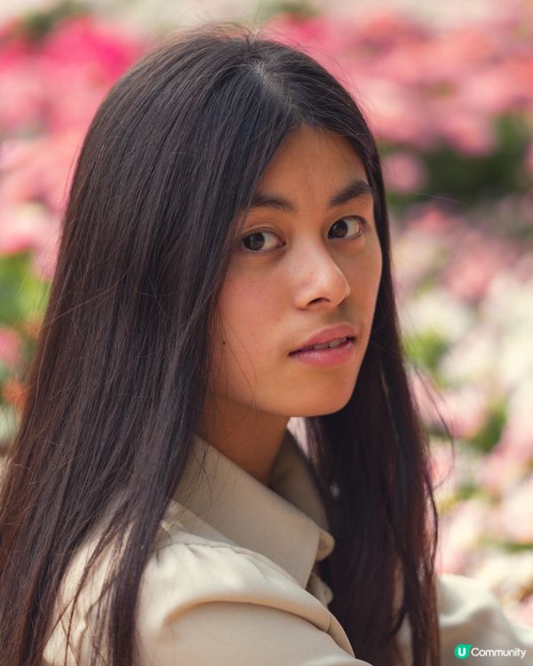 免費🆓深圳荷蘭花卉小鎮💐！打卡影相一流📸！